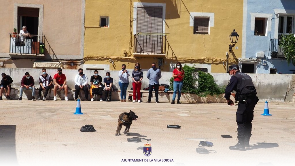 Policia Local delecta amb una exhibició canina i de vigilància aèria a l'alumnat del Programa JOOP a la Vila Joiosa